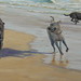 Stephen Brehm Photo 14