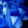 Linda Quick Photo 40