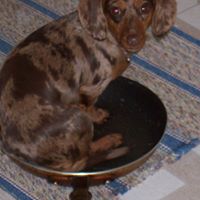 Cheryl Yager Photo 7