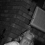 Robin Blevins Photo 18