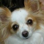 Ginger Lowry Photo 13