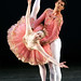 Michele Wiles Photo 13