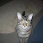 Mary Pyle Photo 18