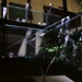 Philip Proctor Photo 14