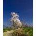 Gerald Frost Photo 22