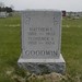 Matthew Goodwin Photo 35