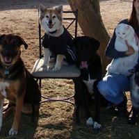 Brandy Christiansen Photo 6
