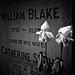 Blake Field Photo 21