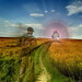 Allan Wolf Photo 30