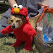 Peggy Dean Photo 13