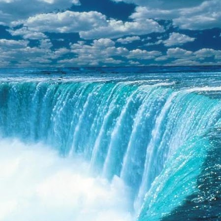 Mohammad Tahir Photo 13