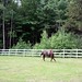 Vickie Young Photo 15