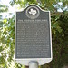 Elizabeth Welch Photo 41
