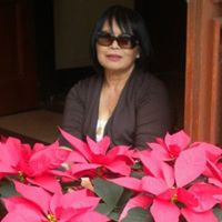 Elizabeth Barros Photo 8