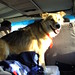 Sandy Pack Photo 13