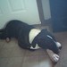 Emily Mcgraw Photo 17