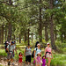 Benjamin Meadows Photo 16