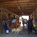 Annette Chestnut Photo 4