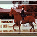 Shannon Williamson Photo 19