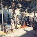 Pat Cole Photo 1