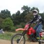 Stephen Locke Photo 9