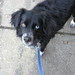 Cori Brown Photo 26