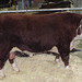 Benjamin Frias Photo 18
