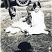 Betty Haskell Photo 9