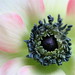 Stephen Ingram Photo 15