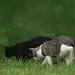 Wendy Chase Photo 11