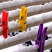 Martin Snow Photo 22