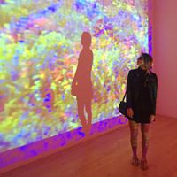 Mary Franke Photo 37