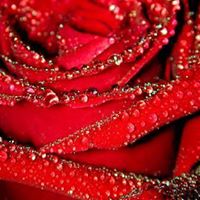 Rose Jamison Photo 6