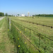 Wayne Hay Photo 11