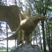 Robert Eagles Photo 13