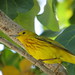 Robin Mckinnon Photo 24