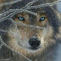 Clay Mclaughlin Photo 20