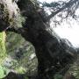 Stacey Ellis Photo 29