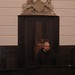 Joyce Judge Photo 5
