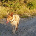 Annie Hamilton Photo 21
