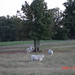 Gerald Finn Photo 12