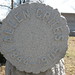 Maple Allen Photo 7