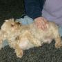 Carrie Norton Photo 22