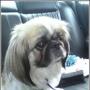 Renee Rosenberg Photo 22