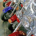 Sherry Harley Photo 21