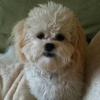 Charlie Tuttle Photo 6