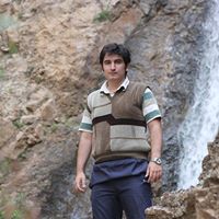 Hamidreza Rezaei Photo 7