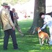 Robert Goshen Photo 10