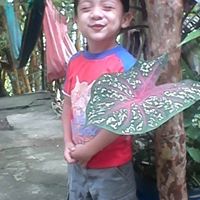 Jovel Hernandez Photo 5