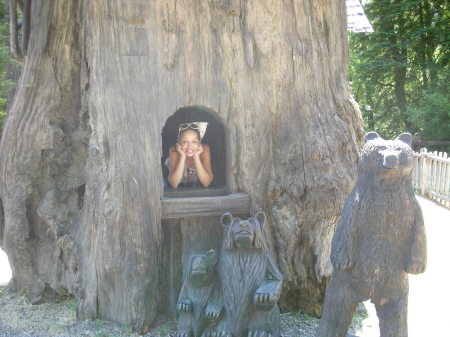 Teresa Godwin Photo 19